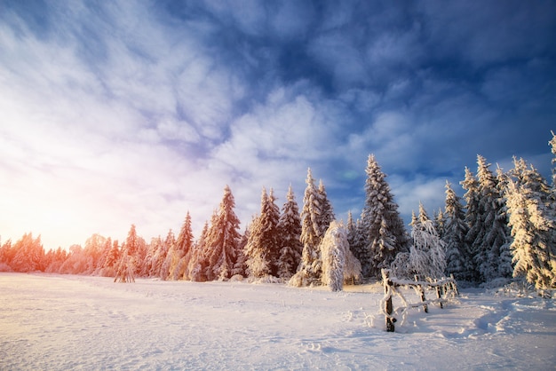 Paisagem de inverno. aldeia da montanha