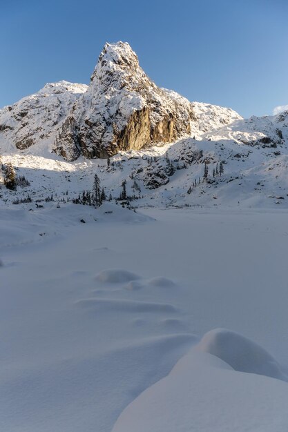 Paisagem de inverno canadense durante um dia ensolarado