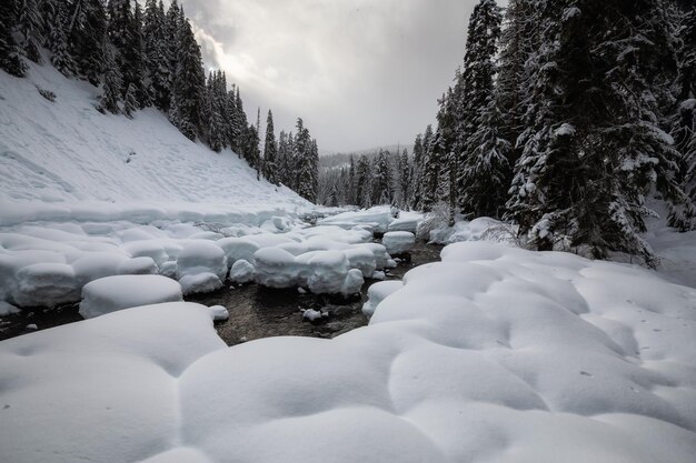 Paisagem de inverno canadense no vale da montanha durante um dia nublado