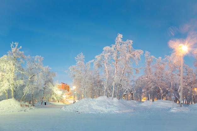 Paisagem de inverno cidade de jardim