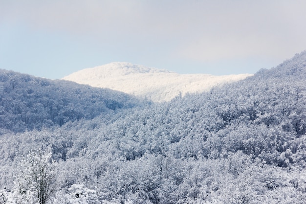 Paisagem de inverno. colinas da floresta cobertas de neve, profundidade de campo