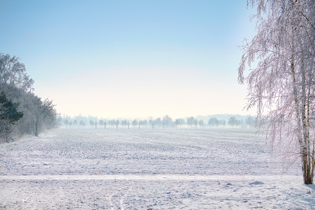 Paisagem de inverno com árvores à beira de um campo coberto de neve Paisagem de inverno