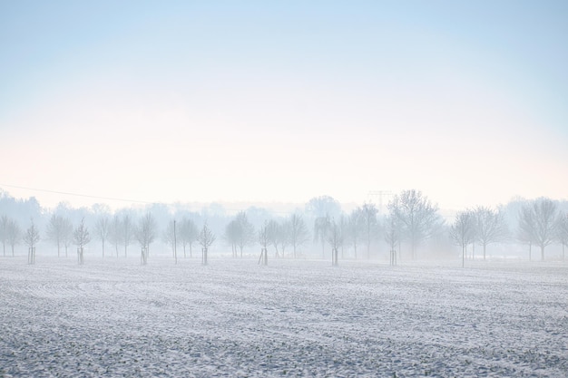 Paisagem de inverno com árvores à beira de um campo coberto de neve Paisagem de inverno