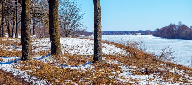 Paisagem de inverno com árvores à beira do rio em um dia ensolarado