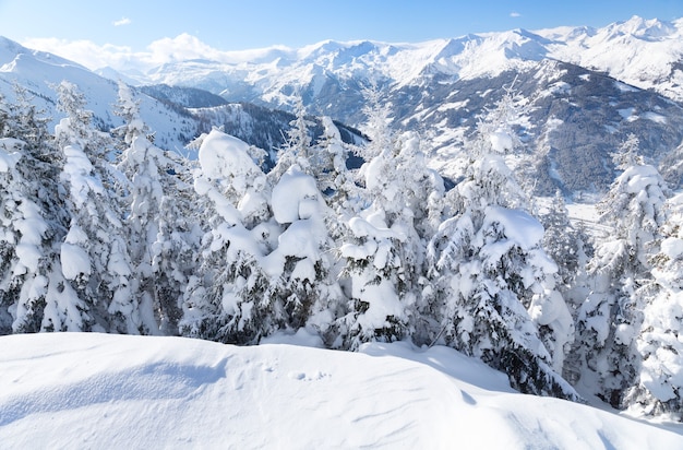 Paisagem de inverno com árvores de neve e montanhas de inverno, montanhas dos alpes