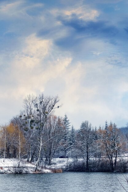 Paisagem de inverno com árvores e arbustos cobertos de neve na margem de um rio ou lago Dia frio de inverno