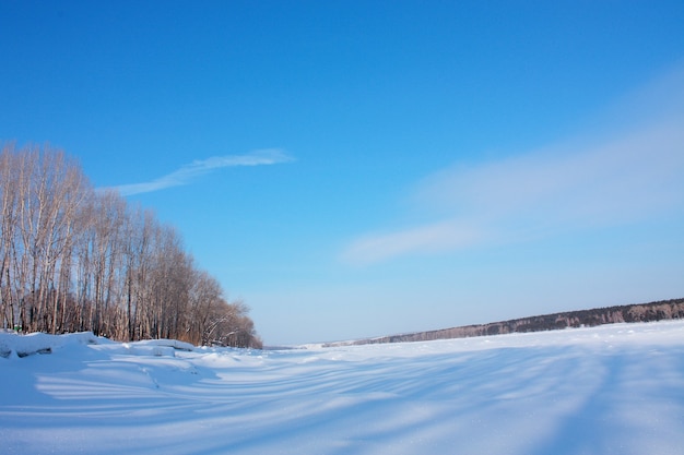 Foto paisagem de inverno com árvores e céu azul