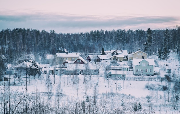 Paisagem de inverno com árvores e pequena cidade sueca norte escandinavo sazonal fundo hipster