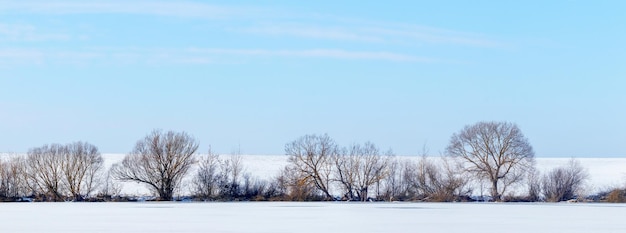 Paisagem de inverno com árvores na margem de um rio coberto de gelo e neve em um dia ensolarado