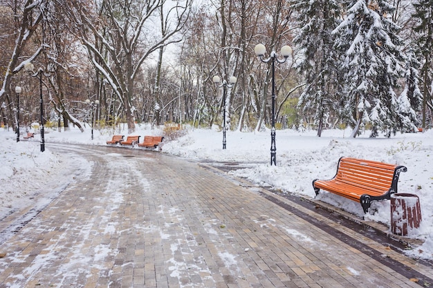 Paisagem de inverno com bancos no beco do parque