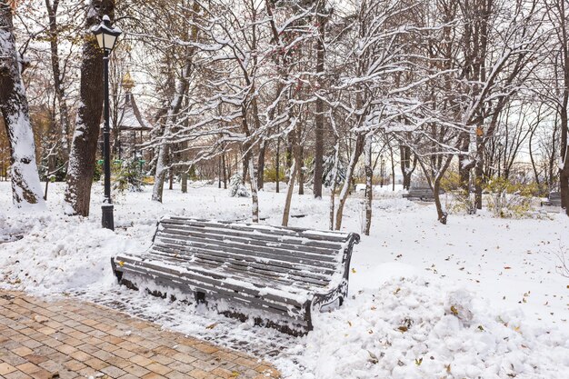 Paisagem de inverno com bancos no beco do parque