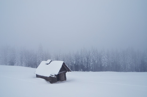 Paisagem de inverno com cabana