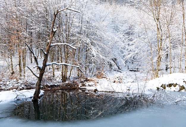 Paisagem de inverno com lago congelado na floresta gelada.