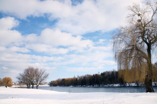 Paisagem de inverno com margens do rio cobertas de neve