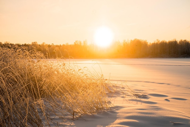 Paisagem de inverno com o nascer do sol. o caminho na neve. . foto de alta qualidade