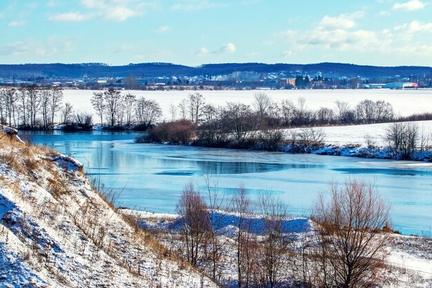 Paisagem de inverno com peixinhos em dias de sono