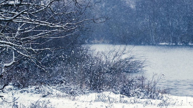 Paisagem de inverno com rio e árvores durante a queda de neve