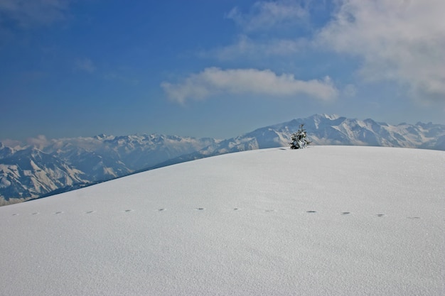 Paisagem de inverno da Áustria