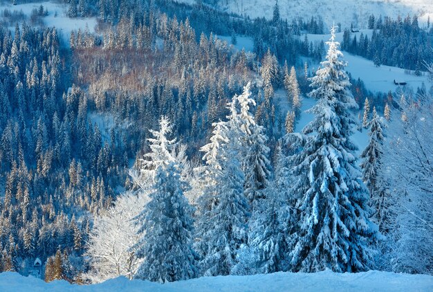 Paisagem de inverno das montanhas dos cárpatos ucrânia