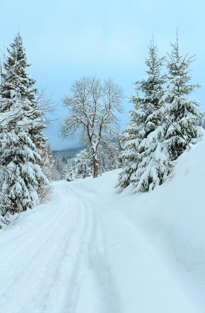 Paisagem de inverno das montanhas dos Cárpatos