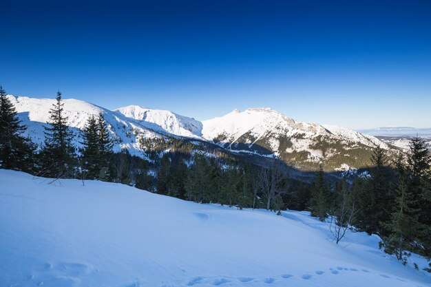 Foto paisagem de inverno das montanhas tatra zakopanepolônia