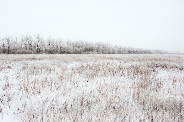 paisagem de inverno de campo nevado