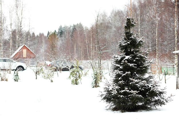 Paisagem de inverno de campos rurais e estradas na neve