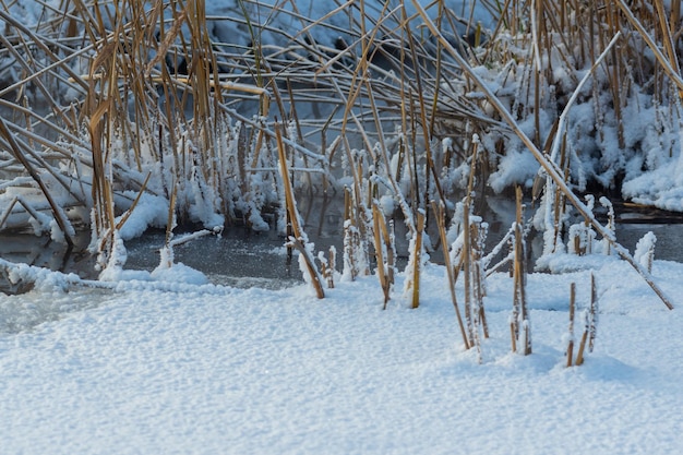 Paisagem de inverno de um lago fluvial não completamente coberto de gelo à luz do sol O degelo Norte do Rio Calmo de Inverno