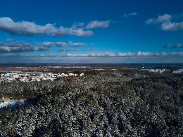 Paisagem de inverno ensolarada gelada na floresta de pinheiros nevado