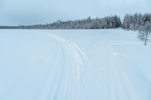 Paisagem de inverno. estrada de inverno através de uma floresta coberta de neve