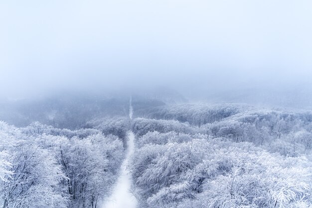 Paisagem de inverno linda montanha no japão zao