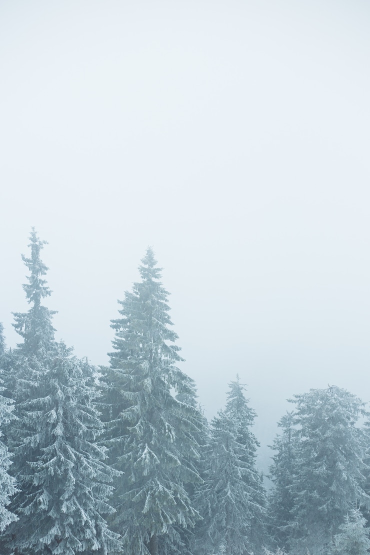 Foto paisagem de inverno montanha. bela natureza e árvores panorâmicas, nas montanhas.