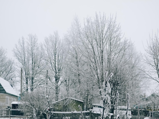 Paisagem de inverno na aldeia