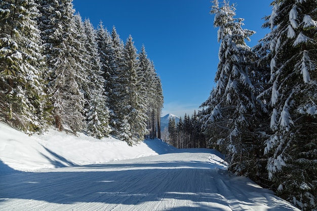 Paisagem de inverno na estação de esqui de Bukovel