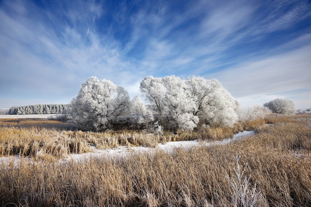 Paisagem de inverno na Rússia