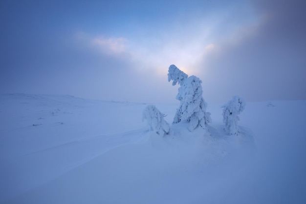 Paisagem de inverno nas montanhas Apuseni, Roménia