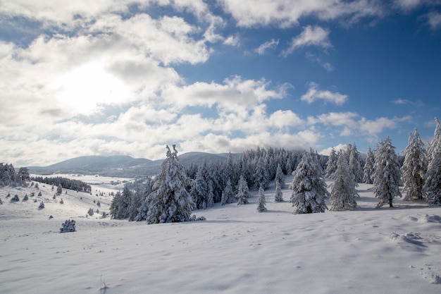 Paisagem de inverno nas montanhas