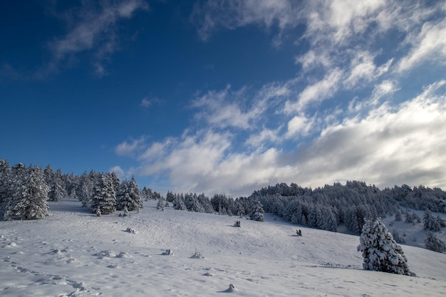 Paisagem de inverno nas montanhas