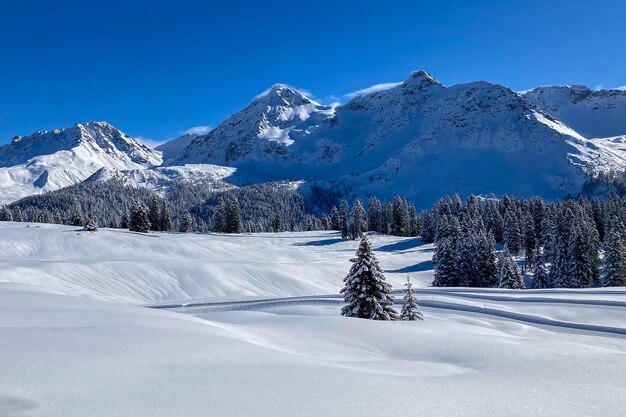 Foto paisagem de inverno nevada pacífica com floresta de abetos e altas montanhas no fundo suíça