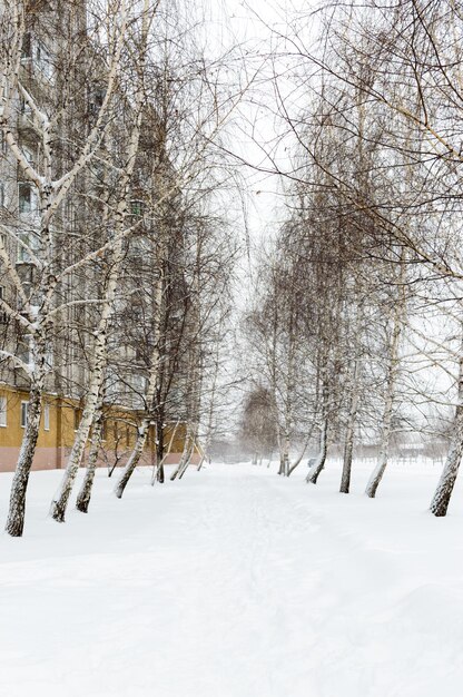 Paisagem de inverno nevado da cidade O caminho na neve entre as árvores perto de blocos de apartamentos