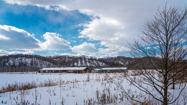 Paisagem de inverno neve