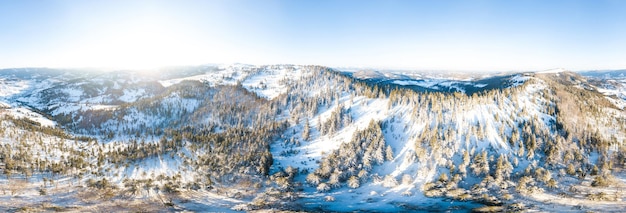 Paisagem de inverno no nevoeiro com neve e galhos cobertos de geadas e neve congelada Foto de alta qualidade