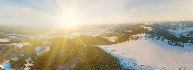 Paisagem de inverno no nevoeiro com neve e galhos cobertos de geadas e neve congelada Foto de alta qualidade