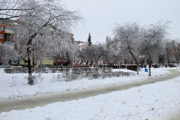 Paisagem de inverno no parque da cidade