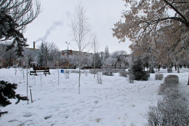 Paisagem de inverno no parque da cidade