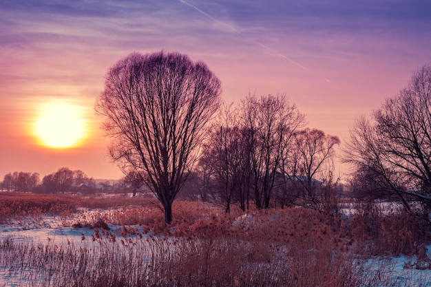 Paisagem de inverno Pôr do sol com um lindo céu gradiente no campo coberto de neve