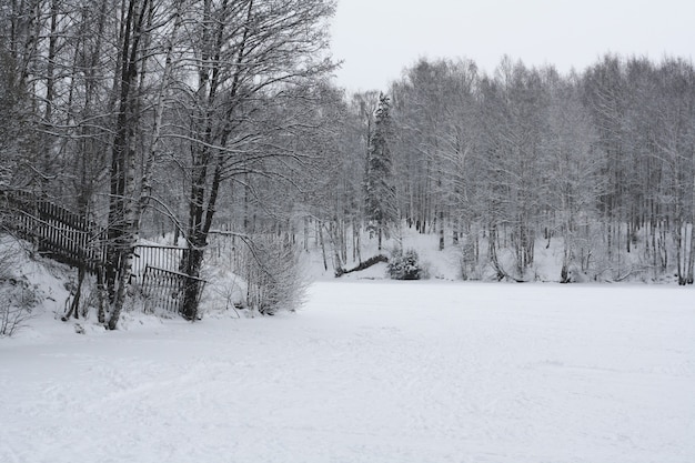 Paisagem de inverno, rio congelado e árvores na neve