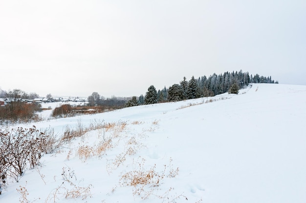 Paisagem de inverno rural com campo nevado e floresta