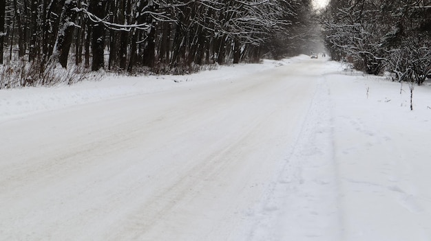 Paisagem de inverno. Trilha coberta de neve no parque da cidade. Árvores cobertas de neve em uma floresta de inverno com uma estrada.