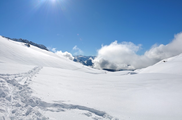 Paisagem de inverno